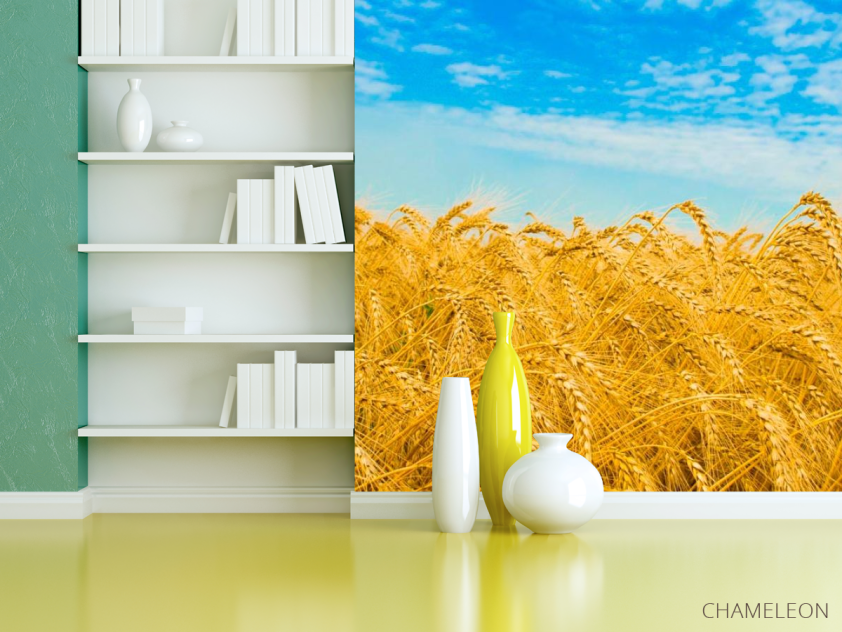 Фотошпалери Пшениця - 3