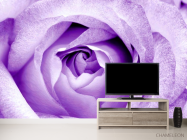 Фотообои Снежно-сиреневая роза - 2