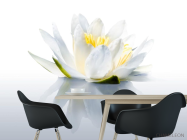 Фотообои водяная лилия - 1