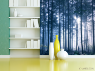 Фотошпалери ліс - 3