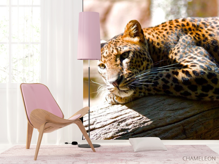 Фотошпалери Мріє гепард - 4