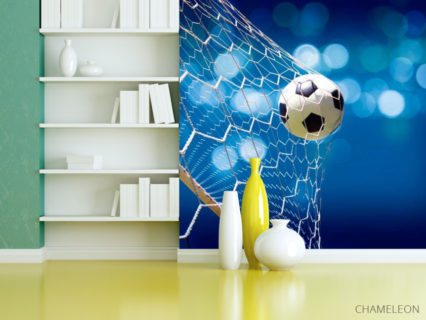 Фотошпалери Сітка з м'ячем - 3