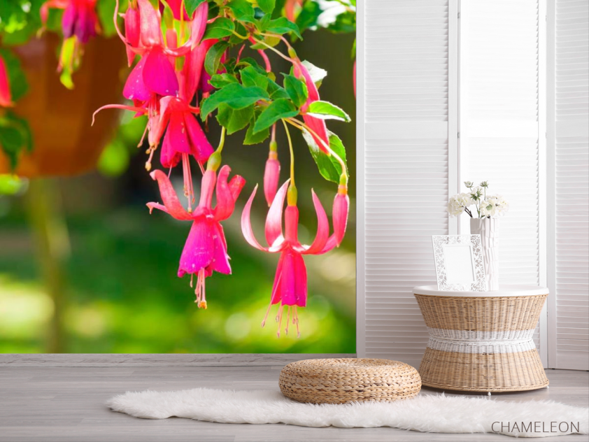 Фотошпалери Малинові дзвоники - 2