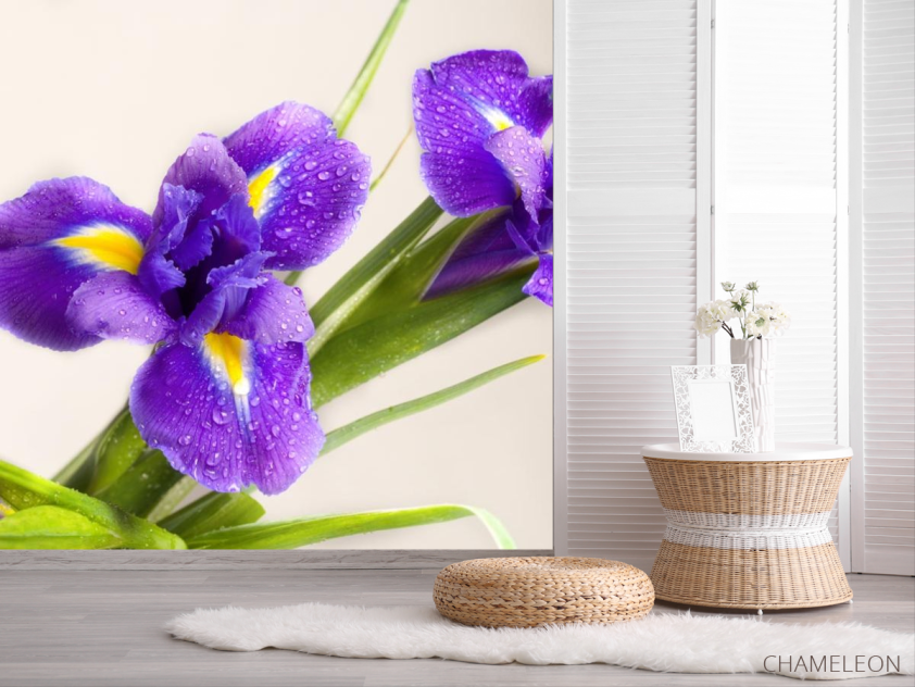 Фотошпалери синій квітка - 2