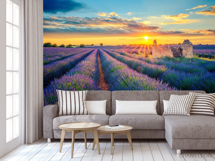 Фотообои разрушеный домик в лавандовом поле - 3