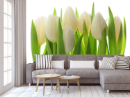 Фотообои белые тюльпаны - 3