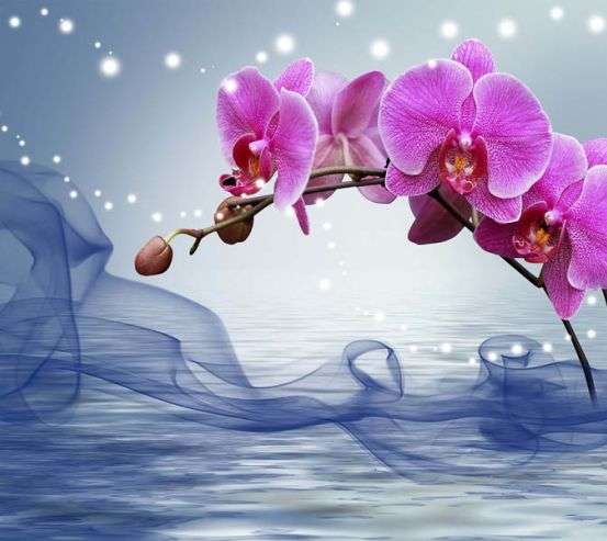 Фотообои 3д орхидея Фотообои 3д орхидея 32211