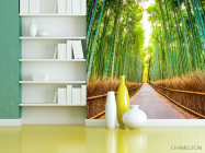 Фотошпалери Бамбуковий гай - 3