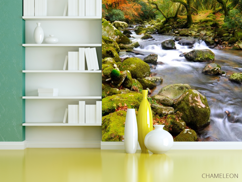 Фотошпалери Камені, мох - 3