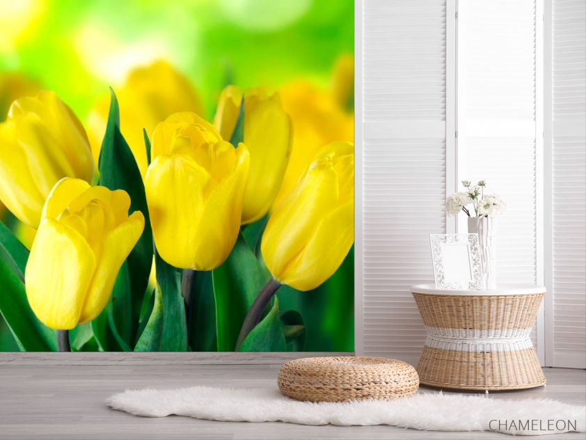 Фотошпалери Яскраво-жовті тюльпани - 2