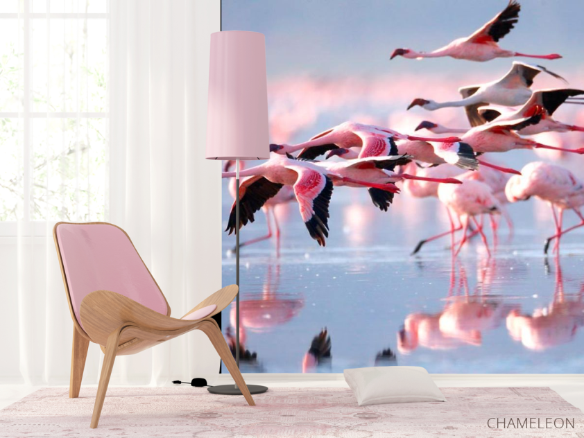 Фотошпалери Відлітають фламінго - 4