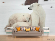 Фотообои Семья белых медведей - 1