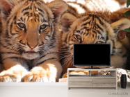 Фотообои Тигрята - 2