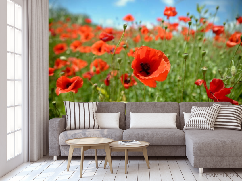 Фотообои маковое поле - 3