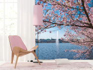 Фотошпалери сакура над річкою з фонтаном - 4