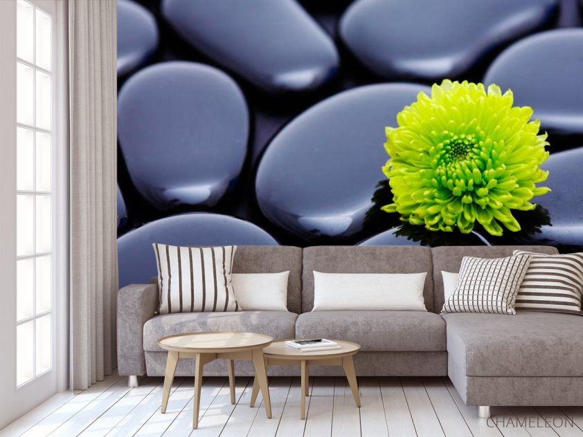 Фотообои Цветок и камни - 3