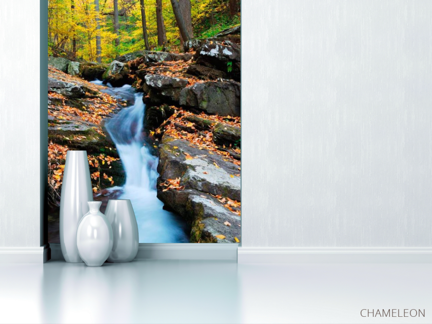 Фотообои Ручей бежит - 1