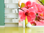 Фотошпалери Квітка яблуні - 3