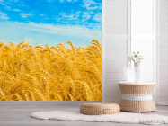 Фотошпалери Пшениця - 2