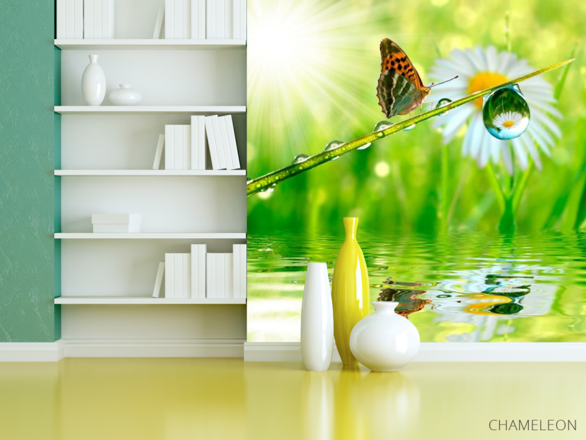 Фотошпалери Метелик над водою - 3