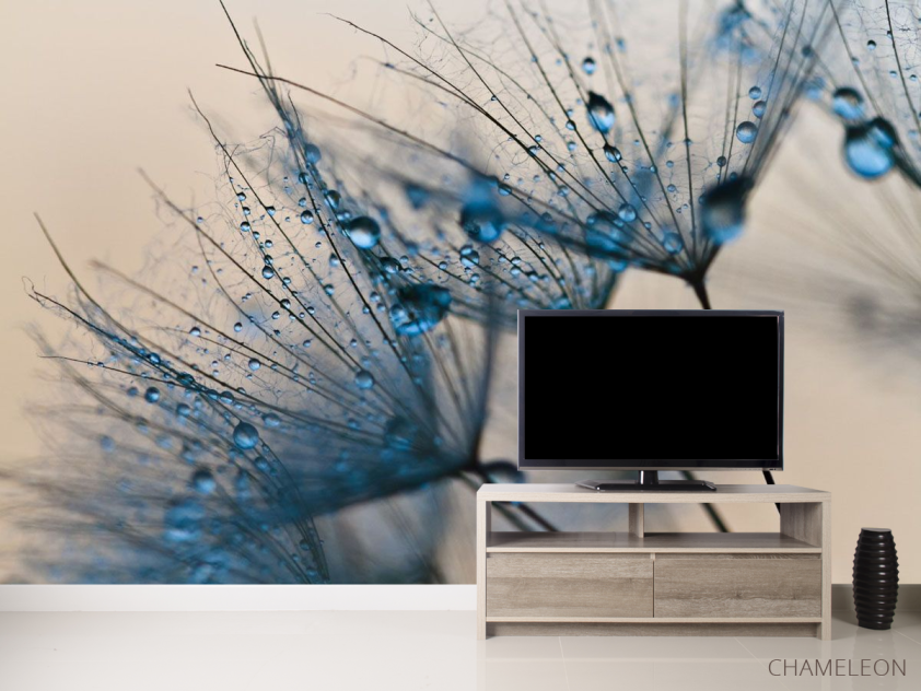 Фотообои одуванчики - 2