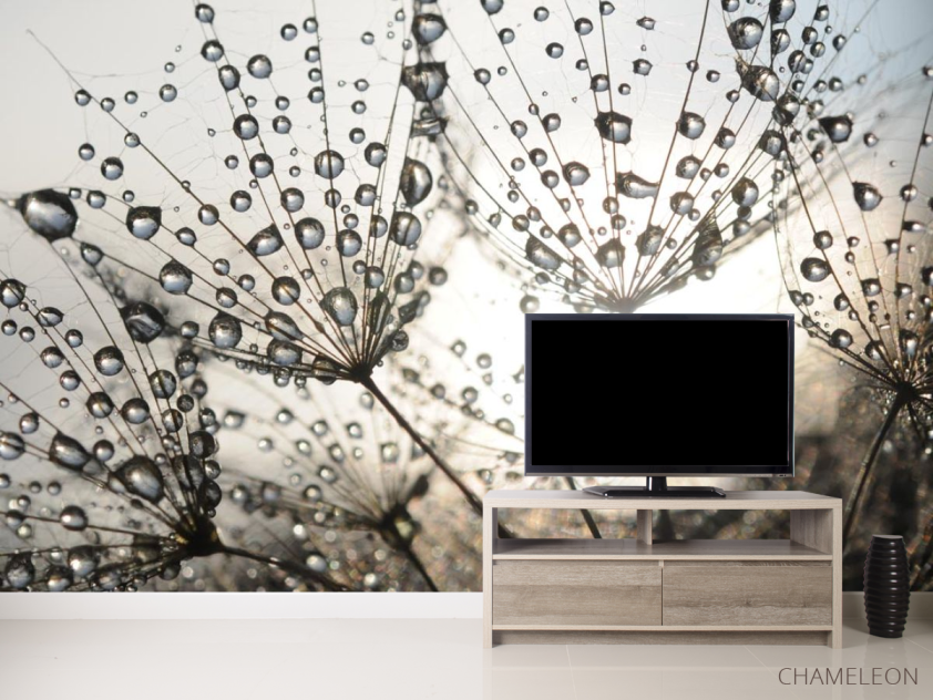 Фотообои капли и одуванчик - 2