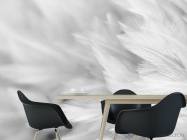 Фотошпалери білі пір'я - 1