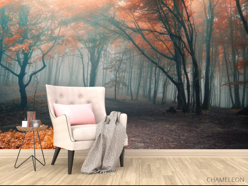 Фотообои осенний лес - 4