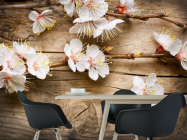 Фотошпалери білі квіточки на гілці - 1