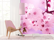 Фотошпалери Цвітіння персика навесні - 4