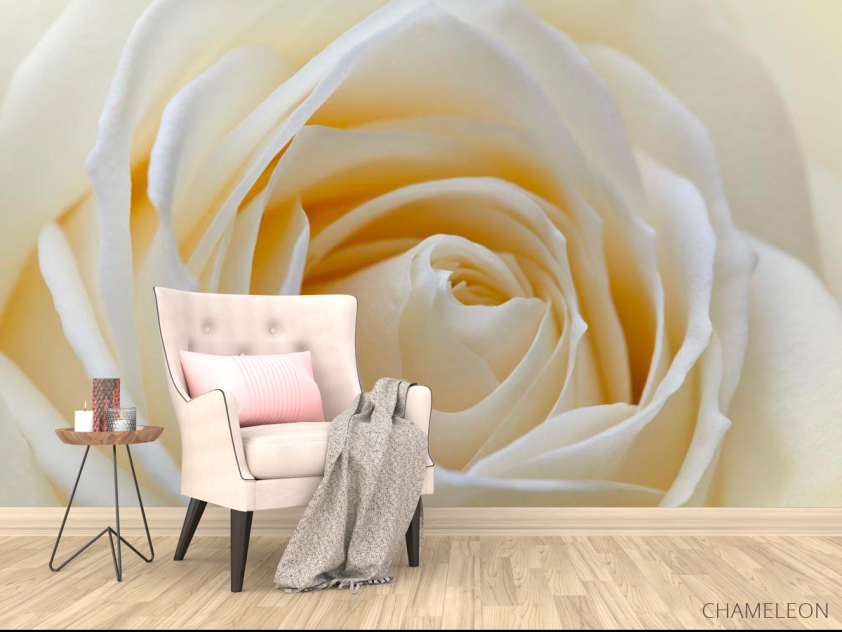 Фотообои Бледно-бежевая роза - 4