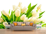 Фотообои Тюльпаны - 1