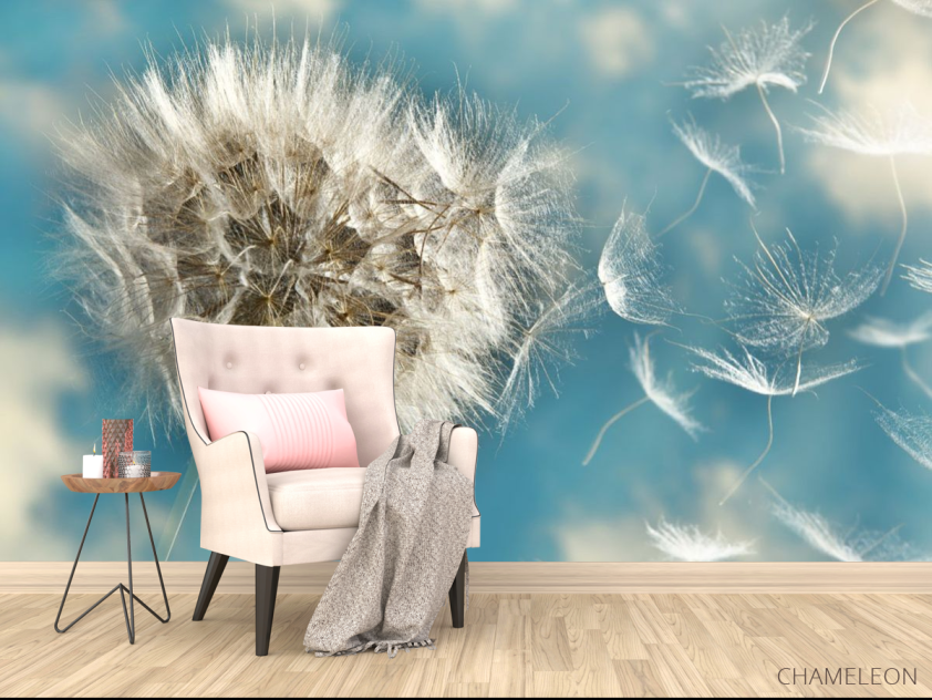 Фотообои одуванчики - 4