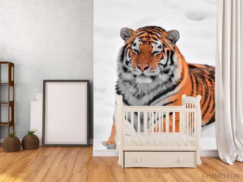 Фотообои Тигр в снегу - 2