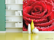 Фотошпалери Бутон червоної троянди - 3