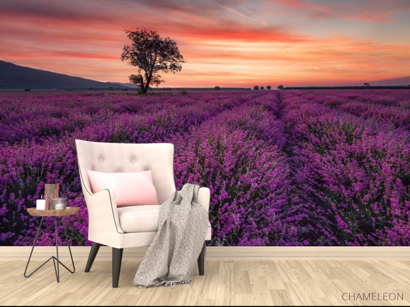 Фотообои сиреневое поле и розовый закат - 4