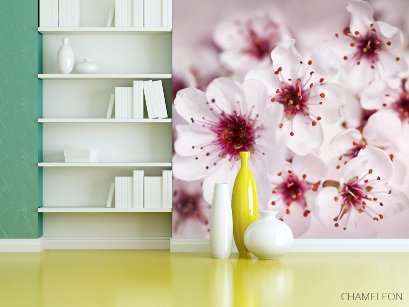 Фотошпалери цвіт вишні - 3
