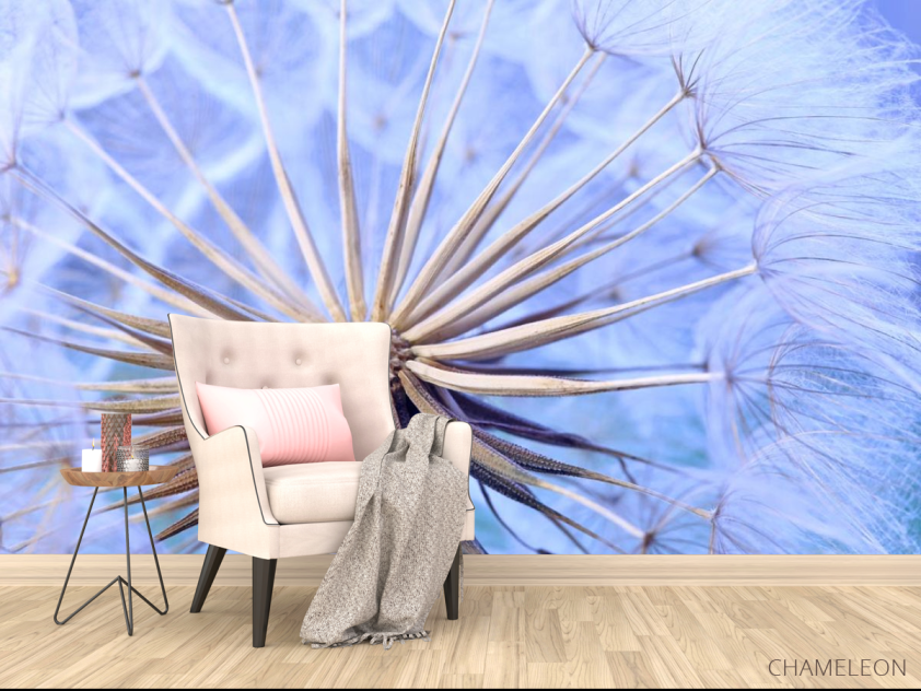 Фотообои в середине одуванчика - 4