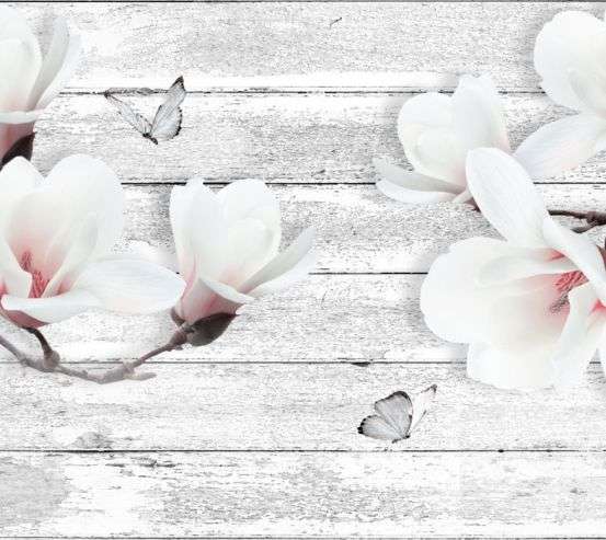 Фотообои цветы Фотообои цветы 31759