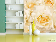 Фотошпалери Троянди кремового відтінку - 3