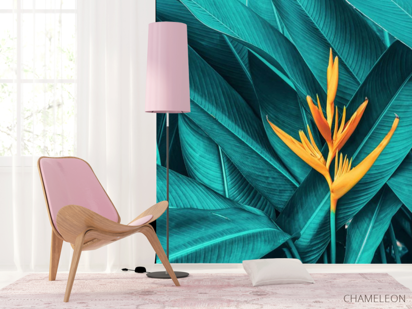 Фотошпалери яскрава Стреліція - 4