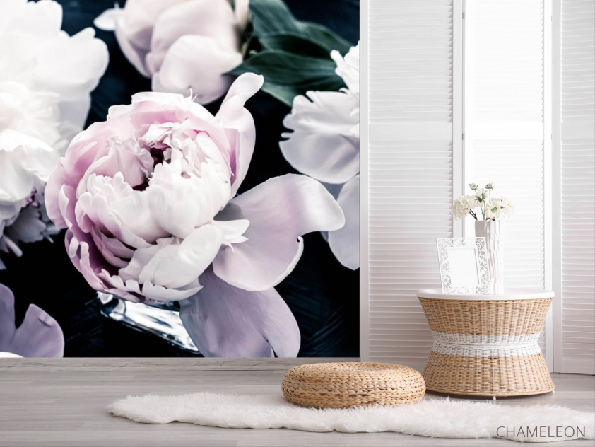 Фотошпалери півонії на темному - 2