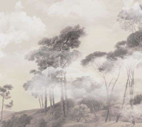 Фотошпалери дерева в тумані Фотошпалери дерева в тумані 31856