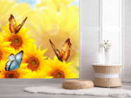 Фотошпалери Родсолнухи великі - 2