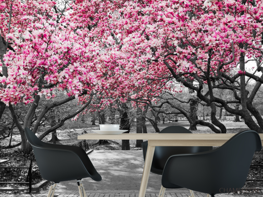 Фотошпалери Рожеві дерева в парку - 1