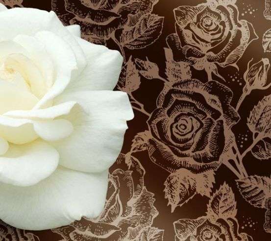 Фотообои Огромная белая роза и паттерн Фотообои Огромная белая роза и паттерн 22113