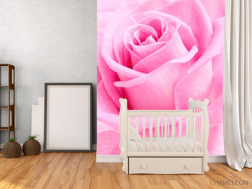 Фотообои Макро-съемка розы - 2