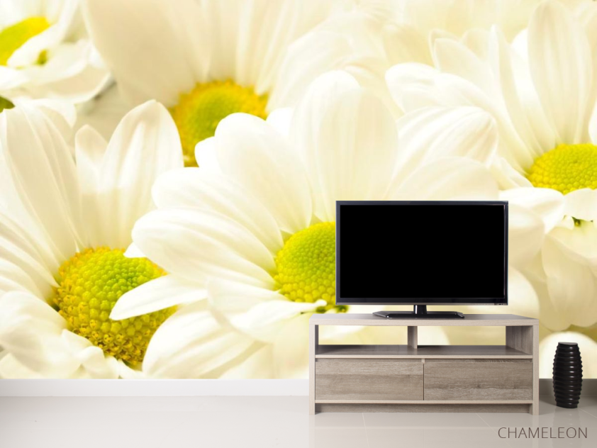 Фотообои Ромашки большие - 2