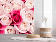Фотошпалери Рожеві бутони троянд - 2