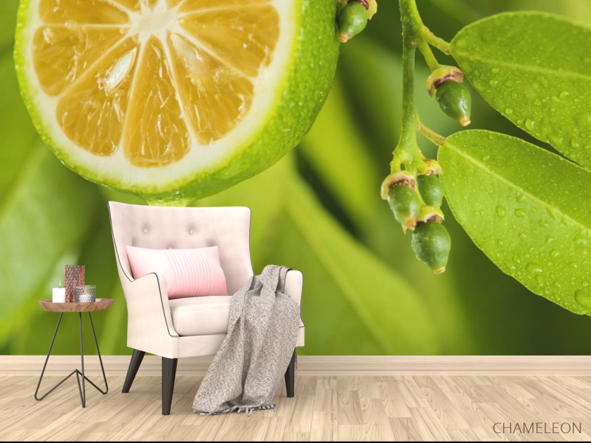 Фотообои Яркий лимон - 4